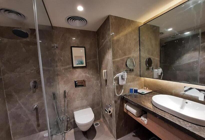 Номер Стандарт, Grand Sarovar Portico, Latur