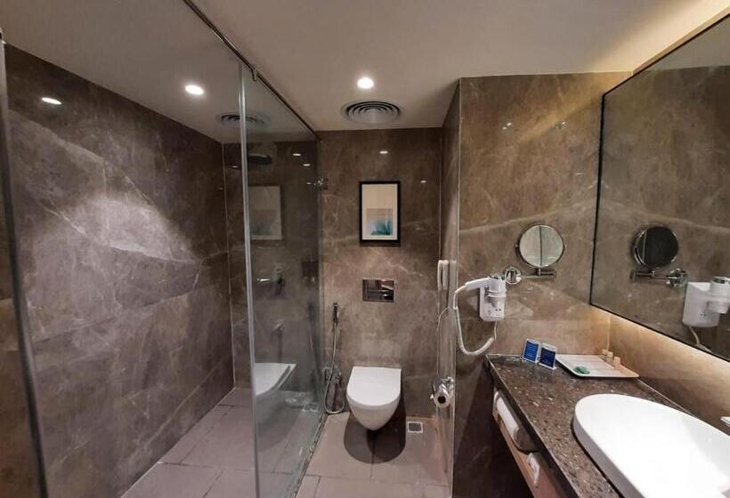 标准间, Grand Sarovar Portico, Latur