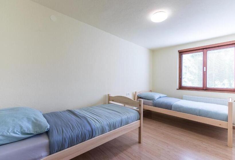 اتاق استاندارد چهارنفره با سرویس بهداشتی مشترک, Dolar Rooms