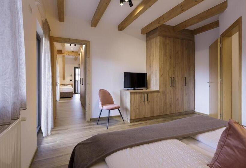 带1个卧室带观景的公寓, Family Aparthotel Winklwiese
