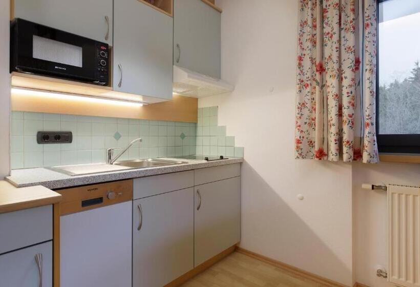 标准工作室, Family Aparthotel Winklwiese