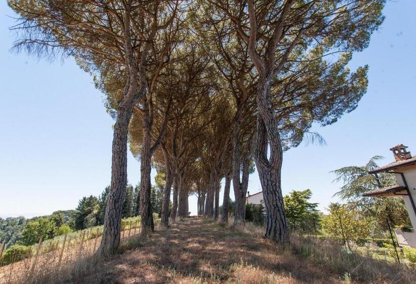 Шале 1 Спальня, Podere Caldaruccio La Pineta