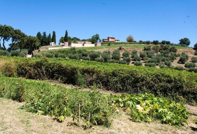 Дом 1 Спальня, Podere Caldaruccio La Pineta