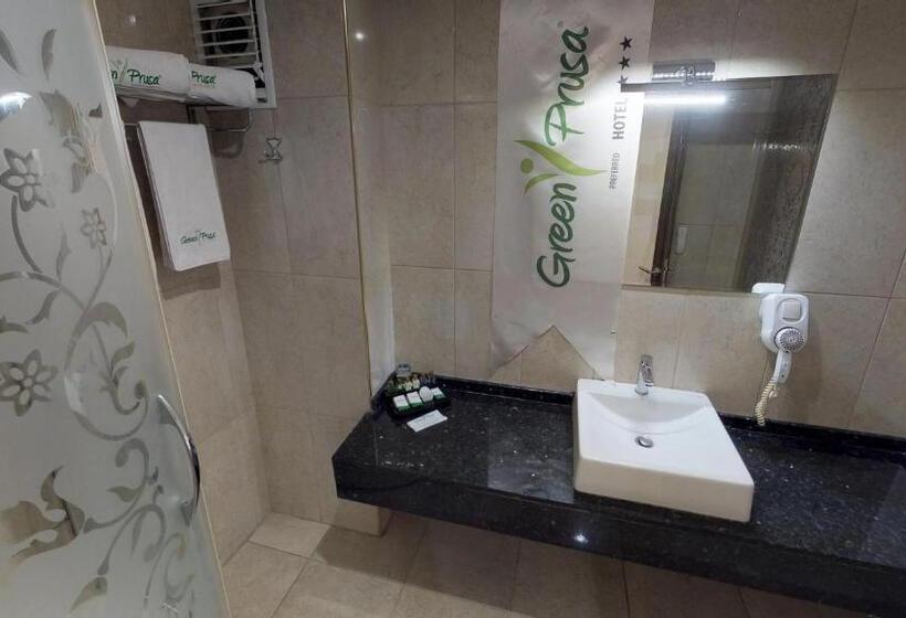 اتاق استاندارد با چشم‌انداز کوهستان, Green Prusa