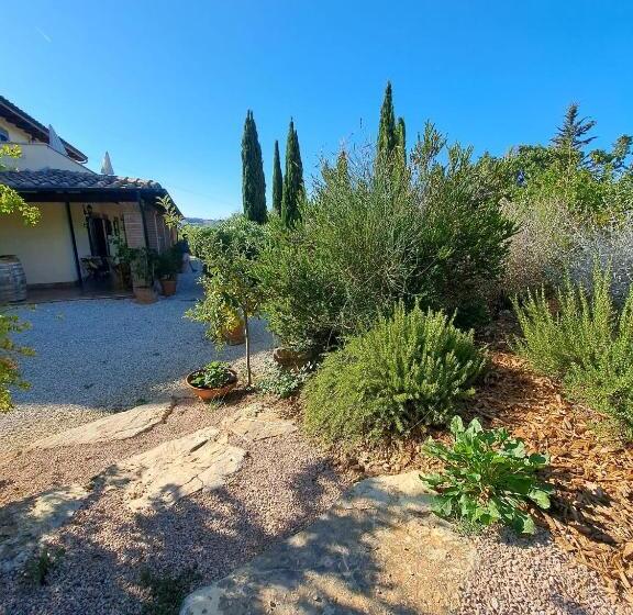 Standardrum, Casale Terre Rosse Garden