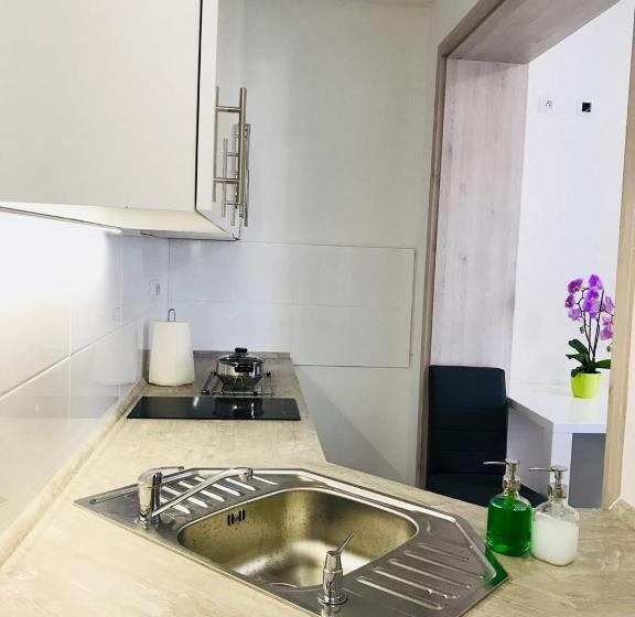 חדר סטודיו סטנדרד, Panorama Apartments