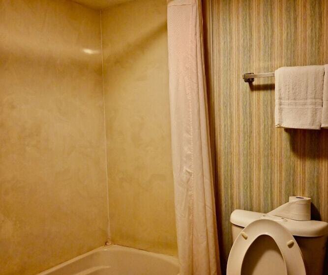 חדר סטנדרט, Rittiman Inn And Suites