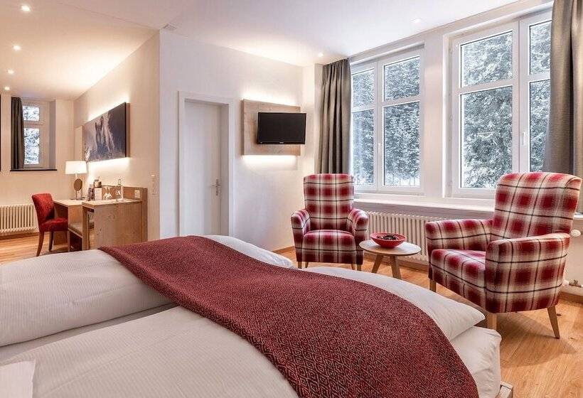 اتاق سوپریور, Blatter S Arosa Hotel & Bella Vista Spa