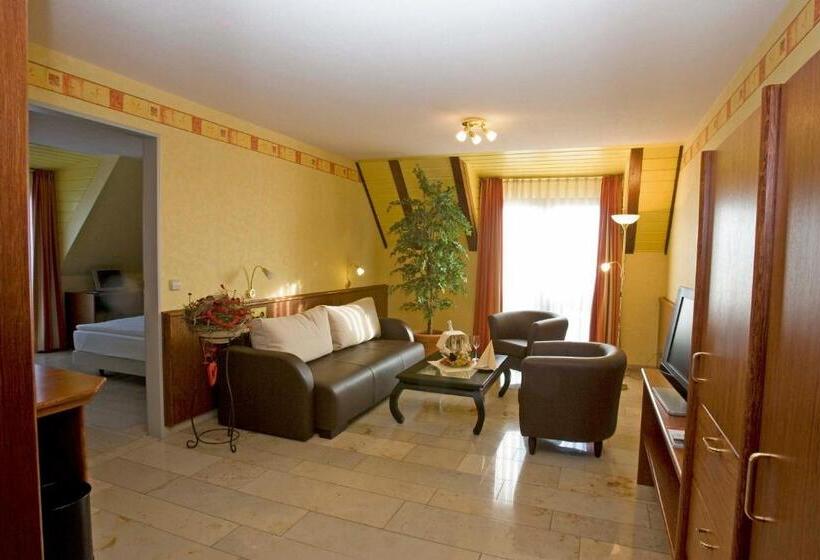 Студия Стандарт, Flair Park Hotel Ilshofen