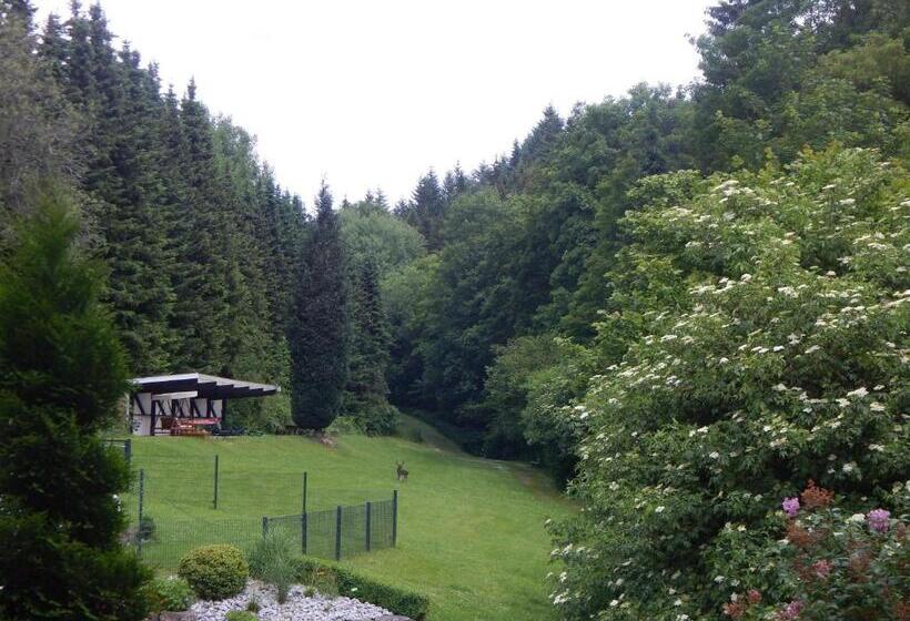 Апартаменты 2 Спальни с Террасой, & Gasthof Hubertushöhe   Ihr Hotel Für Urlaub Mit Hund