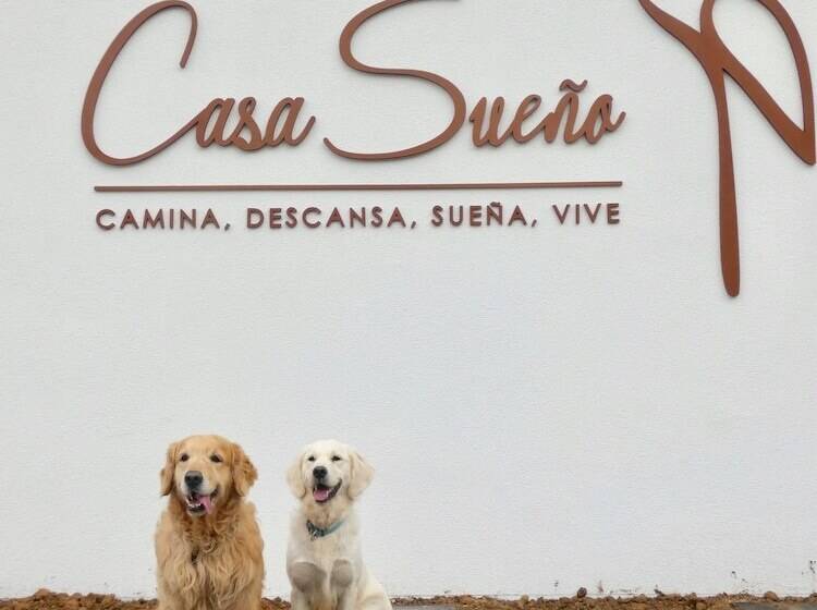 스탠다드 트리플 룸, Casa Sueño