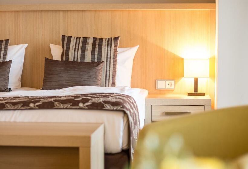 Номер Стандарт, Bodensee Hotel Sonnenhof