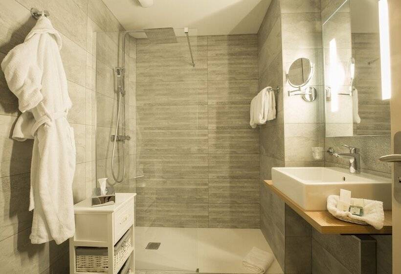 이그제큐티브 트리플, Logis Hotel Le Petit Casset