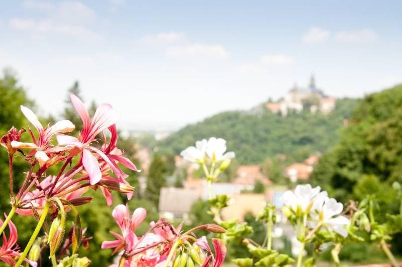 标准间带阳台, Regiohotel Schanzenhaus Wernigerode