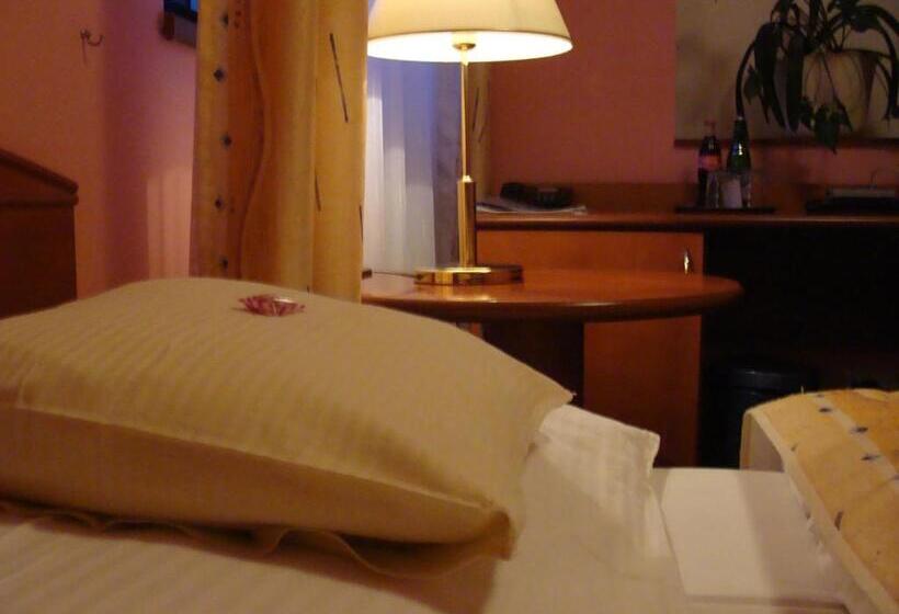 Номер Стандарт, Anna Spa & Wellness Hotel Nejdek