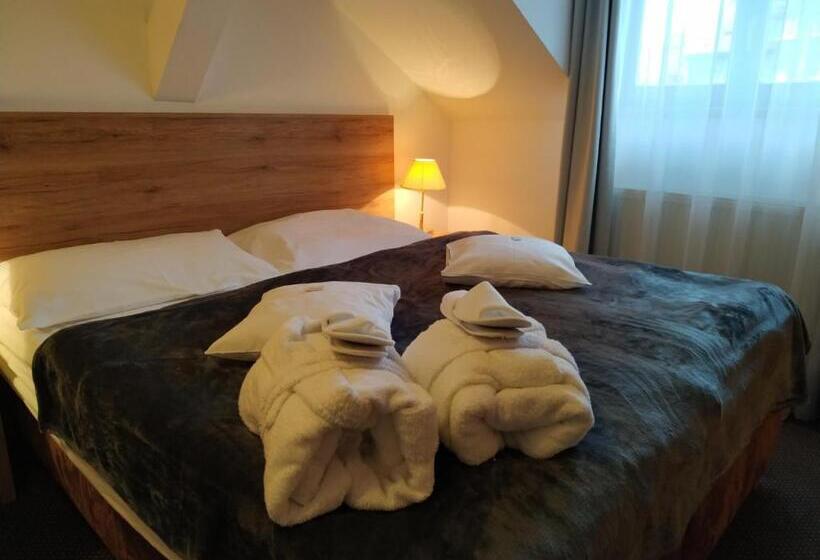 Номер бизнес-класса, Anna Spa & Wellness Hotel Nejdek