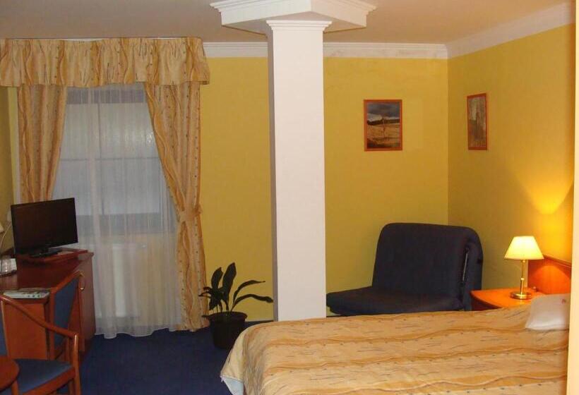 Номер бизнес-класса, Anna Spa & Wellness Hotel Nejdek