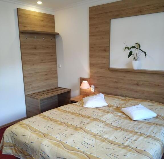 Номер Стандарт Кровать Кинг Адаптированный для Инвалидов, Anna Spa & Wellness Hotel Nejdek