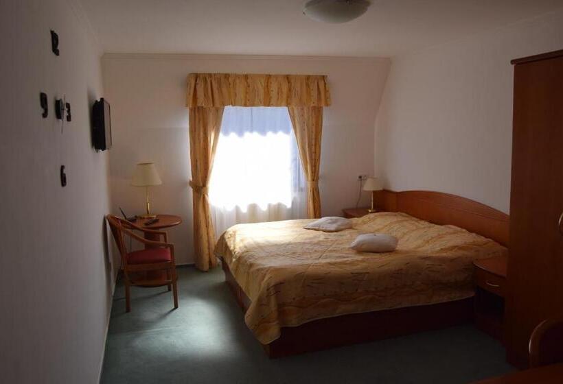 Номер Стандарт, Anna Spa & Wellness Hotel Nejdek