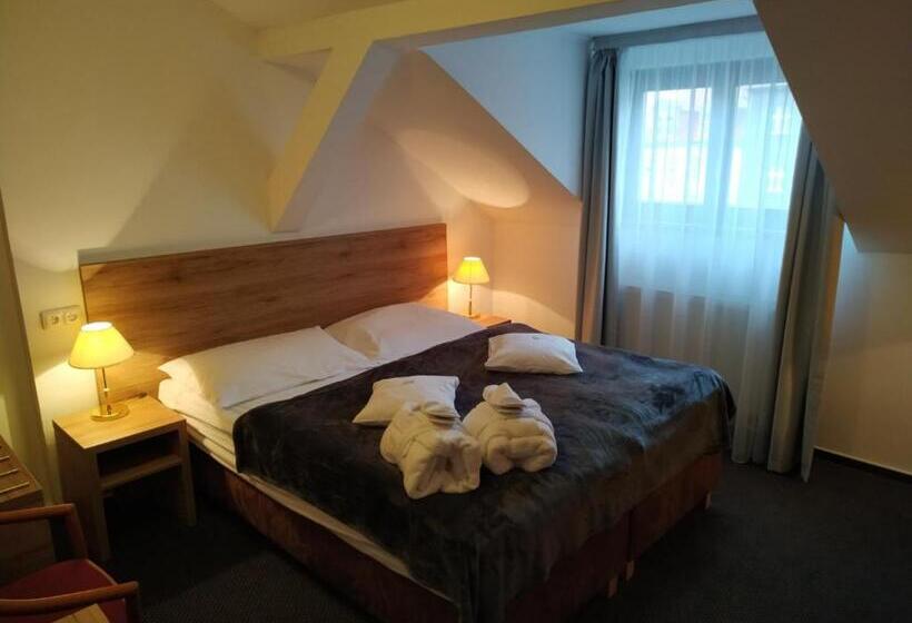 Номер бизнес-класса, Anna Spa & Wellness Hotel Nejdek
