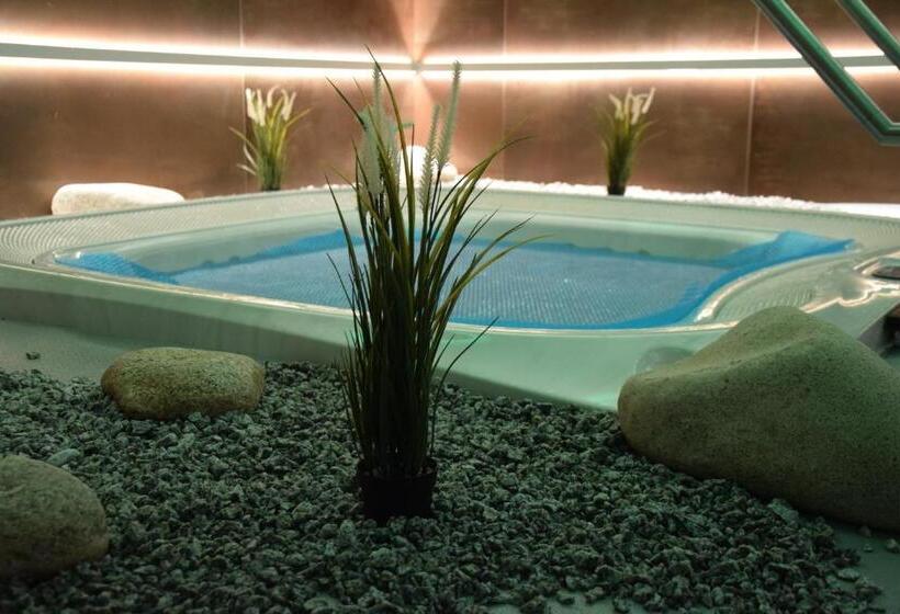 Номер Стандарт, Anna Spa & Wellness Hotel Nejdek
