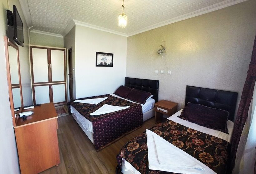 Standard-huone, Dort Mevsim