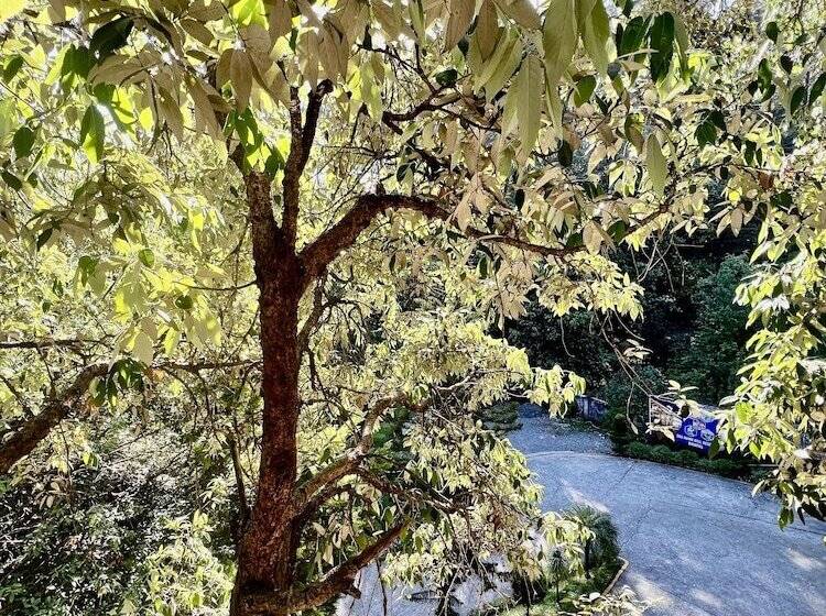 اتاق لوکس, Sea Hawk Hill Resort A Luxury Boutique Resort, 20 Km From Nainital