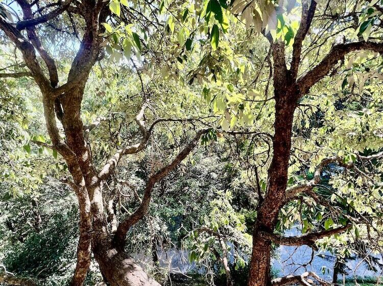 اتاق لوکس, Sea Hawk Hill Resort A Luxury Boutique Resort, 20 Km From Nainital