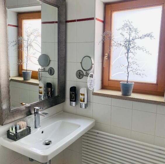 豪华房间, Riverside Hotel Plzeň