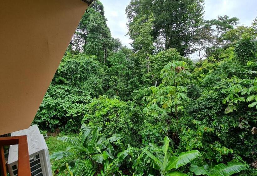 Четырехместный Номер Стандарт, Ceiba Lodge