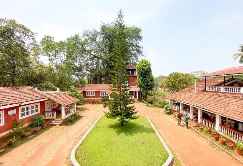 标准间内部标间, Nomadgao Vila Nova   Comfort, Great Views, Fast Wifi & Interesting People