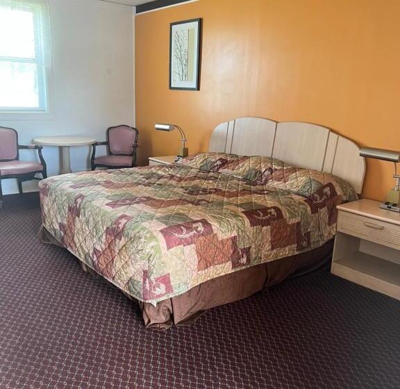 Номер Superior Кровать Кинг, Hollander Motel