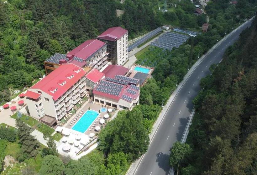 Номер Стандарт, Best Western Plus Paradise Hotel Dilijan