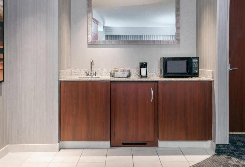سوئیت با تخت بزرگ, Courtyard By Marriott Buffalo Airport