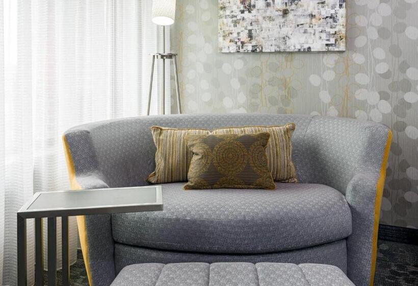 اتاق استاندارد, Courtyard By Marriott Buffalo Airport