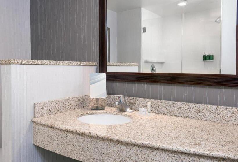 اتاق استاندارد برای معلولان, Courtyard By Marriott Buffalo Airport