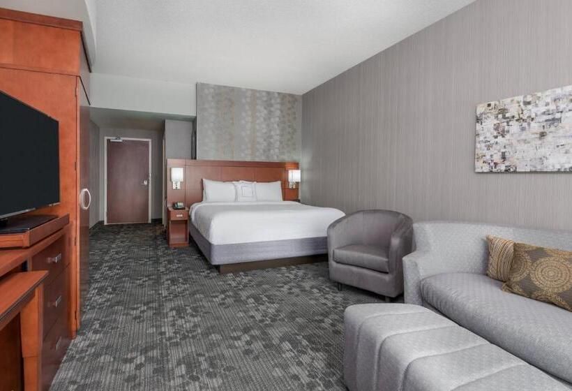 اتاق استاندارد با تخت بزرگ, Courtyard By Marriott Buffalo Airport