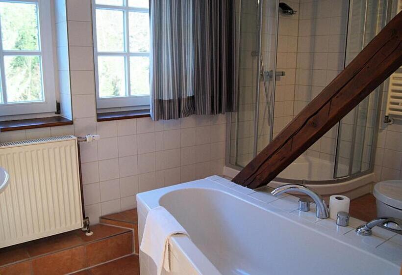 Апартаменты 1 Спальня, Regiohotel Am Brocken Schierke