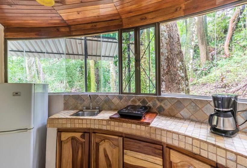Manzaralı Standart Oda, Boutique Hotel Las Cascadas