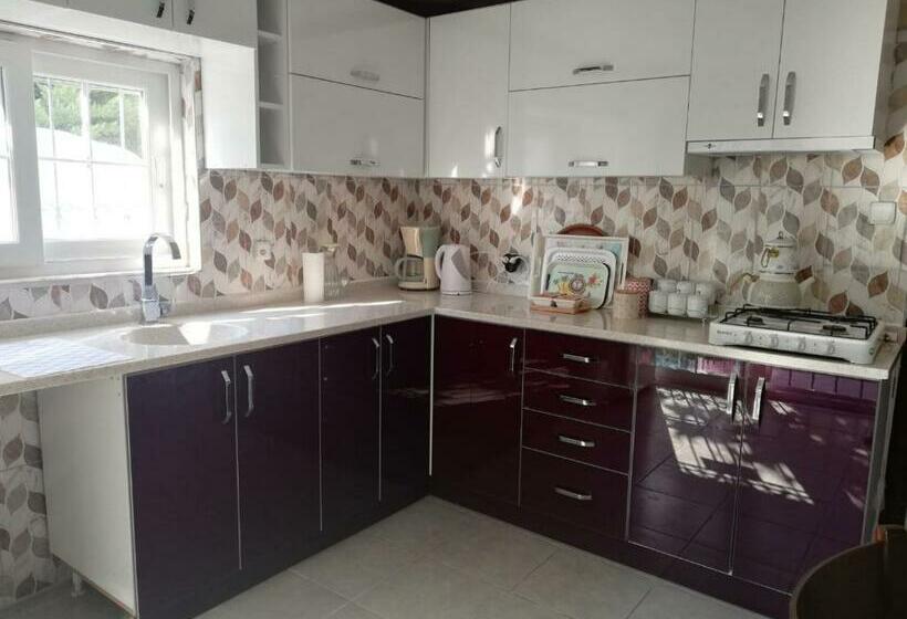 חדר סטנדרט חדר אמבטיה משותף, İde Beach Home