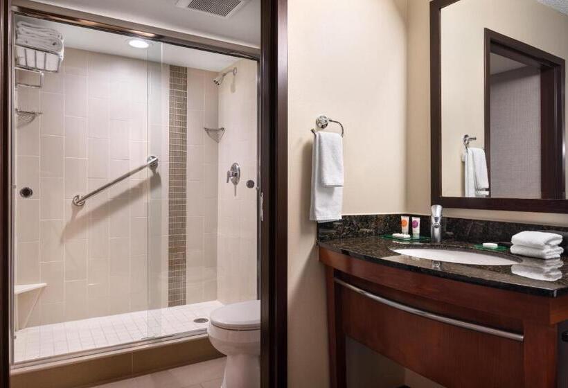 חדר סטנדרט עם מיטת קינג, Hyatt Place Denver Tech Center