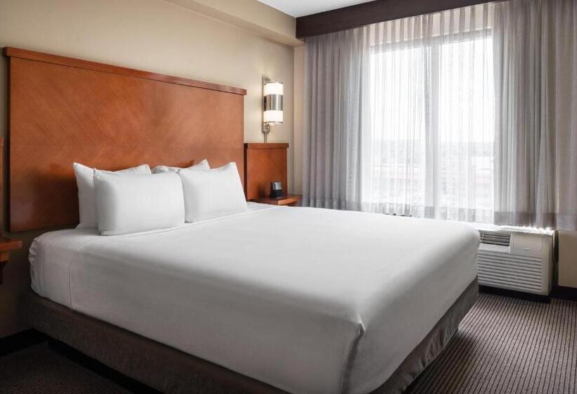 带大床的标准间, Hyatt Place Denver Tech Center
