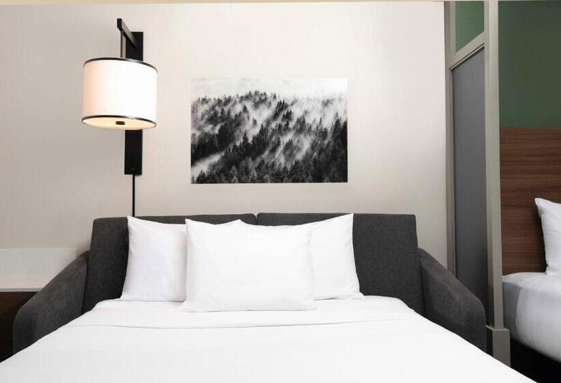 高级寓所标准房间, Hyatt Place Denver Tech Center
