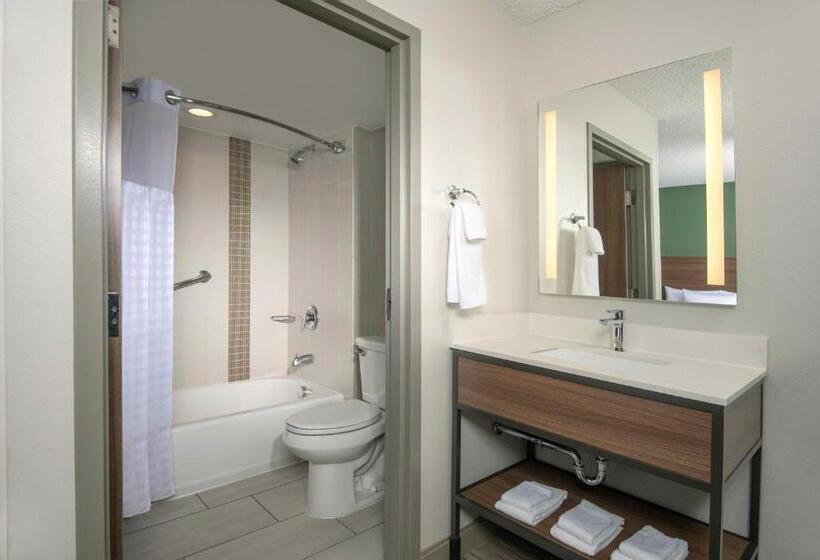 带2个双人床的标准工作室, Hyatt Place Denver Tech Center