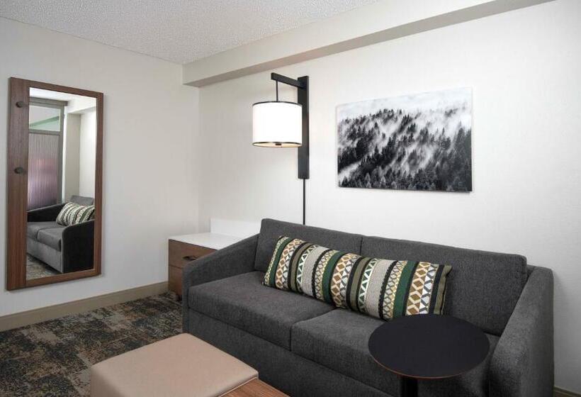 带2个双人床的标准工作室, Hyatt Place Denver Tech Center