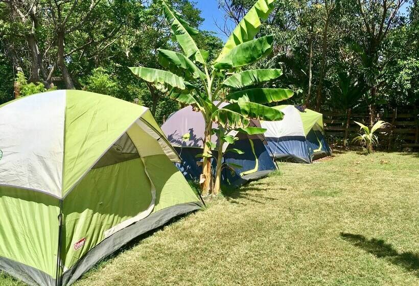 Comfort Tent, Camp Utila Village   Hostel