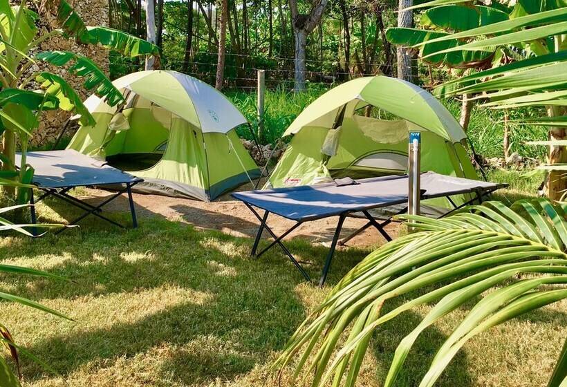 Comfort Tent, Camp Utila Village   Hostel