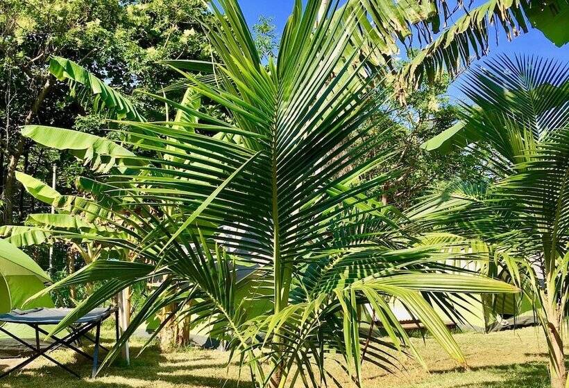 Comfort Tent, Camp Utila Village   Hostel