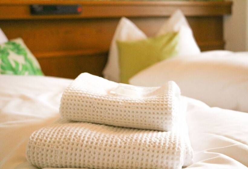 スタンダードルーム, Guesthouse Pension Grafenstein