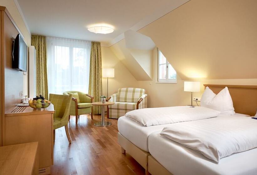 Номер Deluxe, Flair Hotel Schwanen